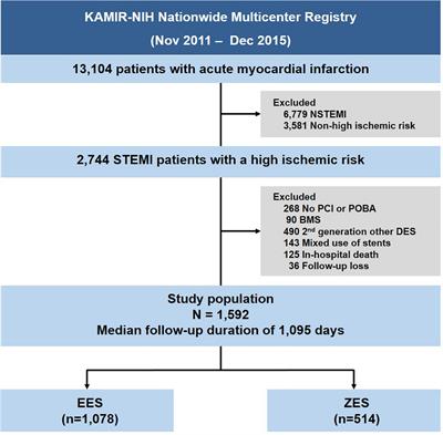 Frontiers | Safety And Efficacy Of Contemporary Drug-Eluting Stents In ...